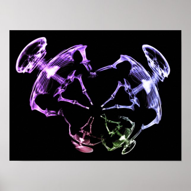 Poster Família 1 de esqueleto de raios X estendida (Frente)