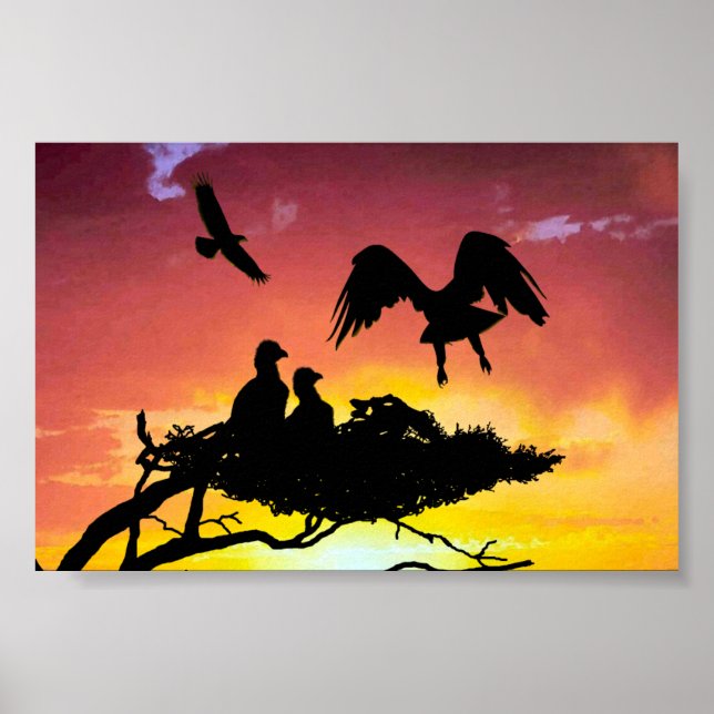 Póster Família Águia (Frente)