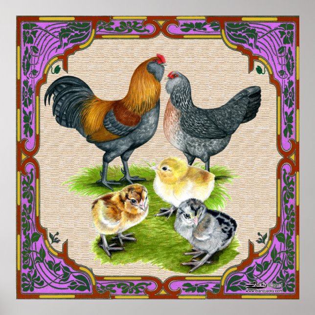 Poster Família Ameraucana Enquadrada (Frente)