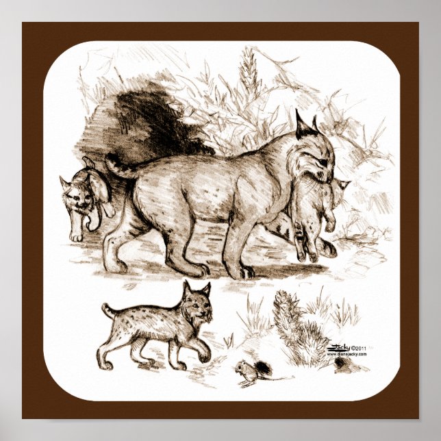 Poster Família Bobcat (Frente)