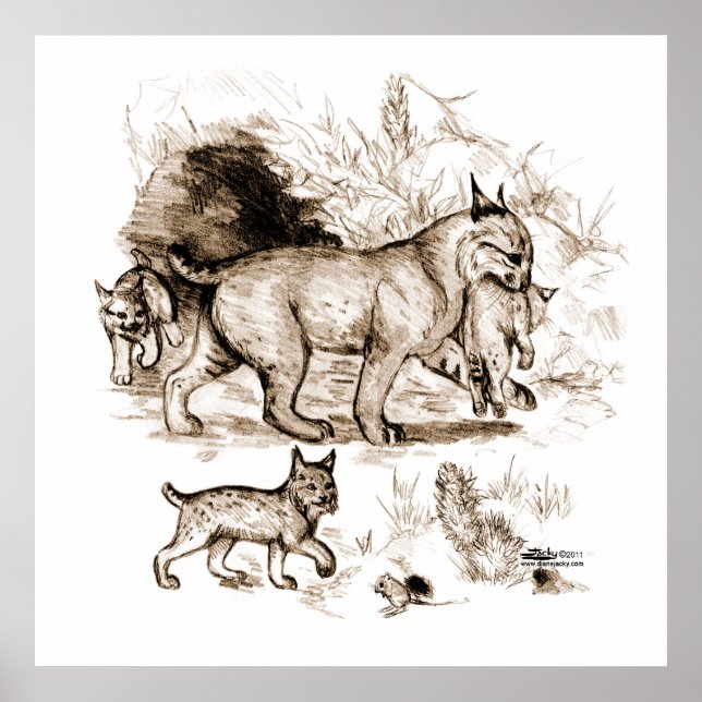 Póster Família Bobcat (Frente)