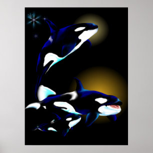 Póster Família da orca