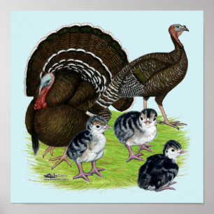 Póster Família de Bronze Padrão da Turquia