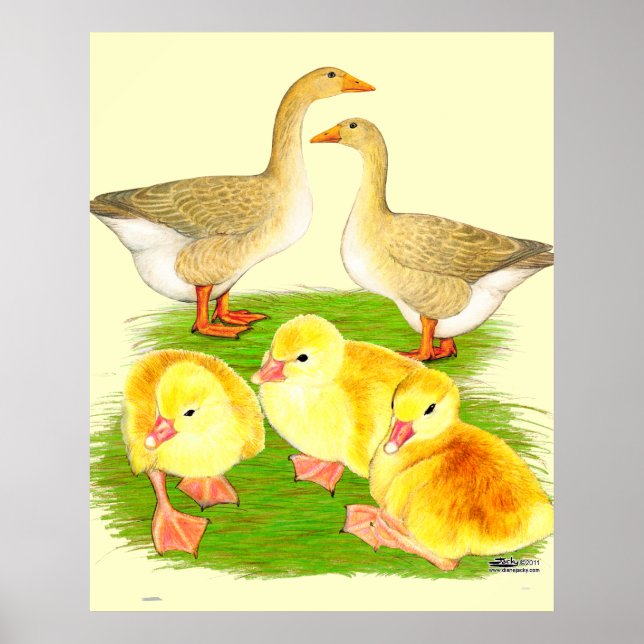 Póster Família de Ganso Buff (Frente)