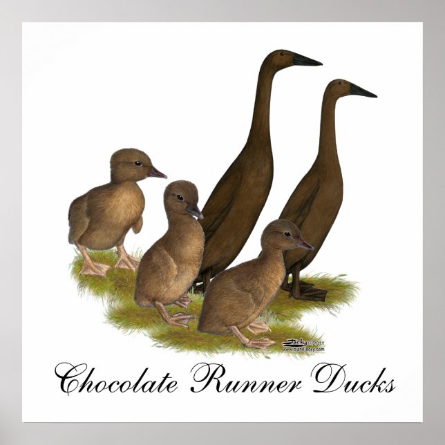 Poster Família de Pato Chocolate Runner (Frente)