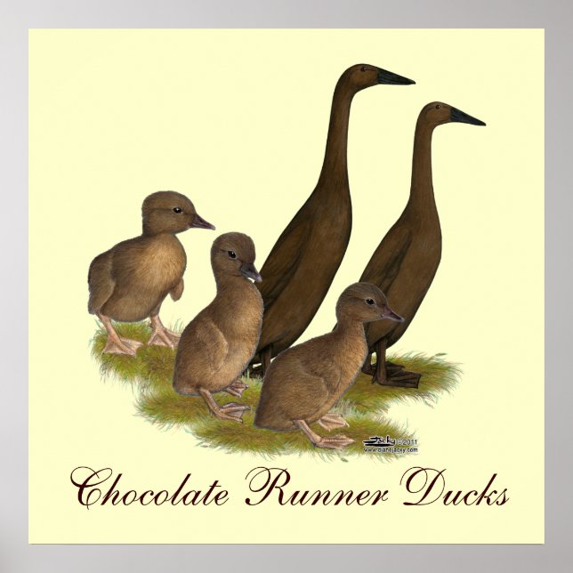 Póster Família de Patos de Chocolate Runner (Frente)