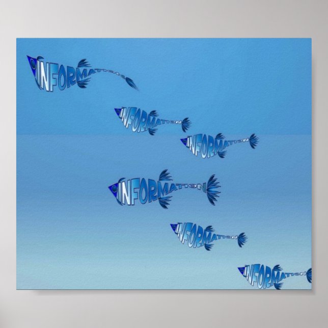 Poster Família de Peixes de Informações (Frente)