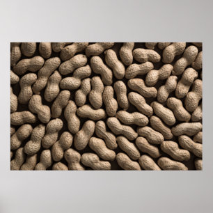 Poster Família Peanut