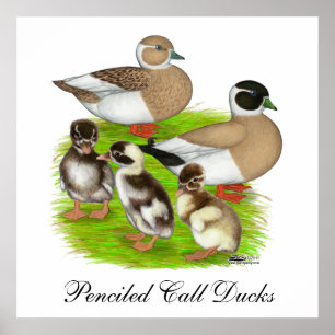 Póster Família Pencione Call Duck