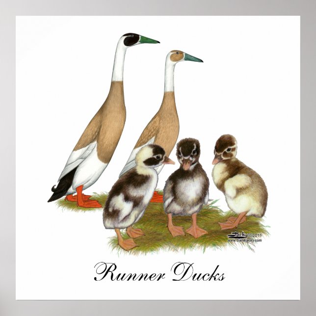 Póster Família Pencione Runner Duck Lápida (Frente)