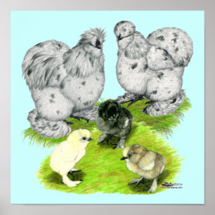 Poster Família pequena do respingo de Silkie