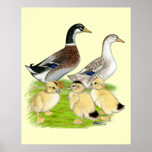 Póster Família Silver Appleyard