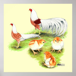 Poster Família Yokohama Red Shoulder