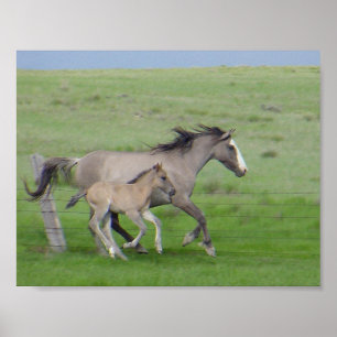 Póster FamíliaExecutar