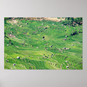 Poster Famous yuanyang Rice Terraces - Yunnan, China