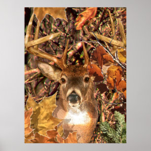 Póster Fanfarrão em cervos da cauda branca de Camo da