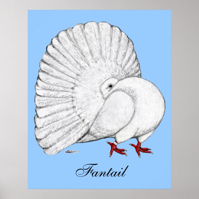 Póster Fantail: Branco (Frente)