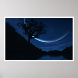Póster Fantasia