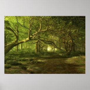 Póster Fantasia da floresta