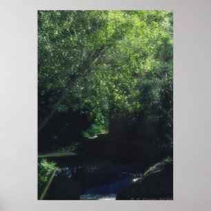 Poster fantasia de millington