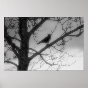 Poster Fantasma