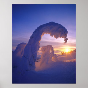 Póster Fantasmas de neve na faixa branca de Montana