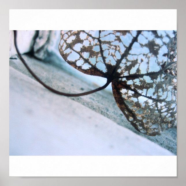 Poster fantasmas de primavera (Frente)