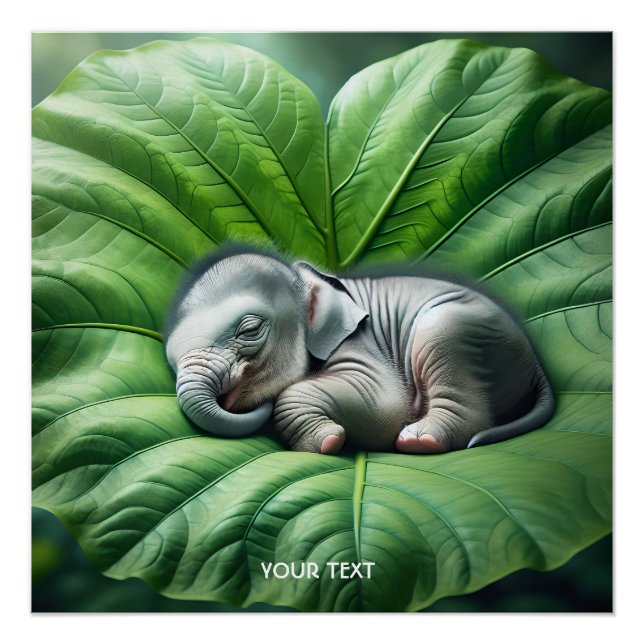 Póster Fantasy Cute Baby Elephant Leaf (Frente)
