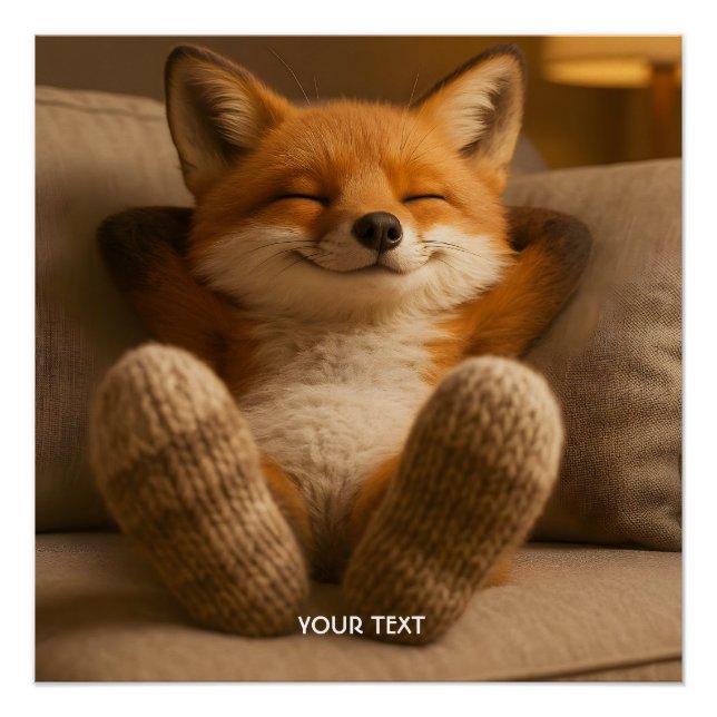 Póster Fantasy Cute Fox And Socks (Frente)