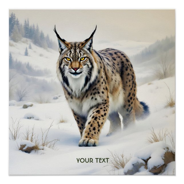 Póster Fantasy Cute Lynx Winter Snow (Frente)