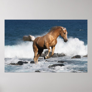 Poster Fantasy Horses: Summer Splash