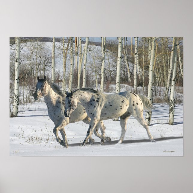 Poster Fantasy Horses: Wonderland de inverno (Frente)