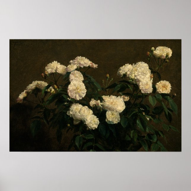 Poster Fantin-Latour - Vida Estática De Rosas Brancas (Frente)