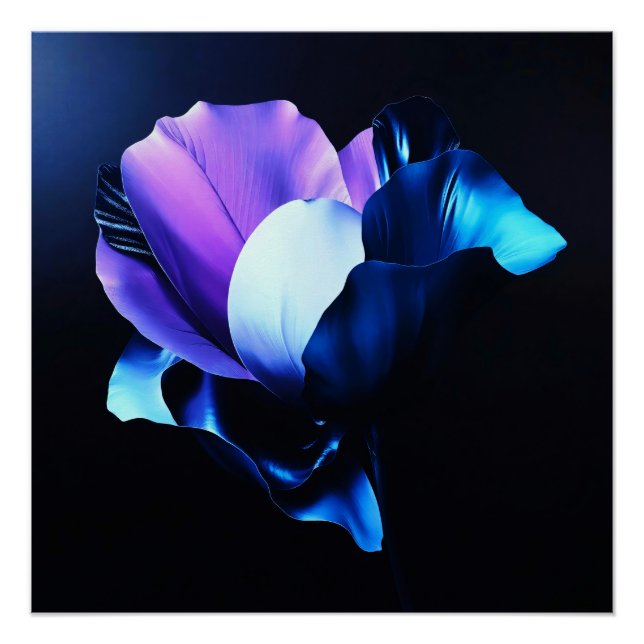 Póster Farbig Strahlende Blüten in Dunkelheit (Frente)