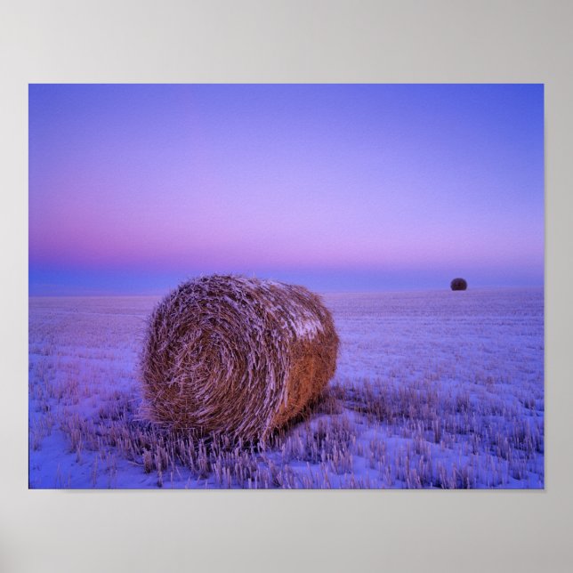 Póster Fardos de Palha de Inverno perto de Cartwright Nor (Frente)