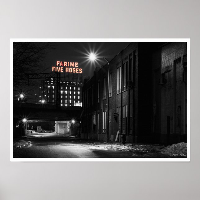 Poster Farine Cinco Rosas (Frente)