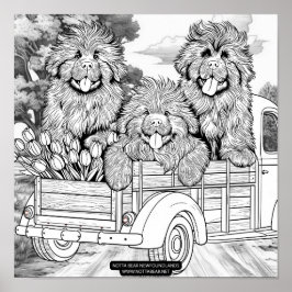 Poster Farm truck Newfoundland Puppies with tulips