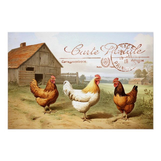 Póster Farmhouse French Chicken Barn Hen Bird Postmark (Frente)