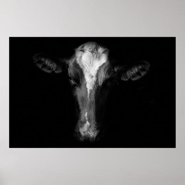 Poster Farms | B&W Cow Head Shot (Frente)