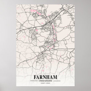 Poster Farnham - United Kingdom Neapolitan City Map