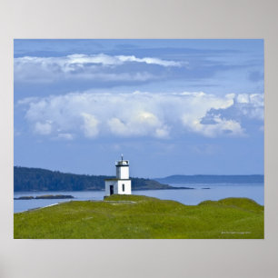 Poster Farol de Bovinos em San Juan Island, WA