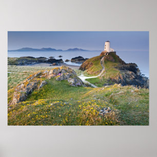 Póster Farol do Mawr de Twr na ilha de Llanddwyn
