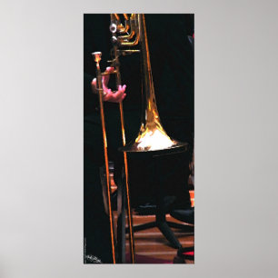 Poster Fascínio de bronze II