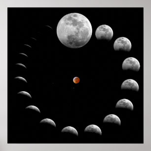 Póster Fases lunares da lua