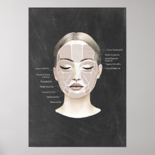 Poster Fat Facial Anatomy Beauty Spa Decor