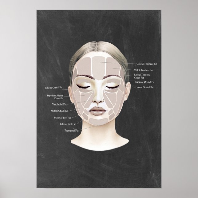 Poster Fat Facial Anatomy Beauty Spa Decor (Frente)