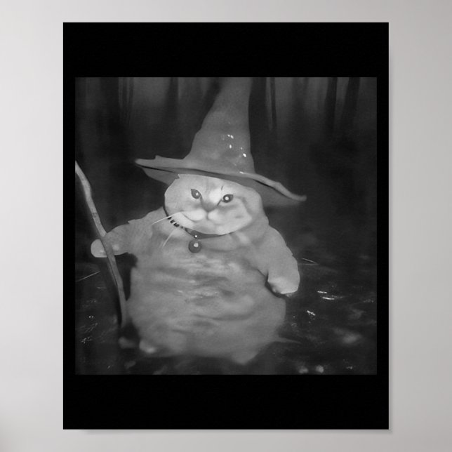 Poster Fat Wizard Cat Fat Kitten Wizard Funny Cat Meme Br (Frente)