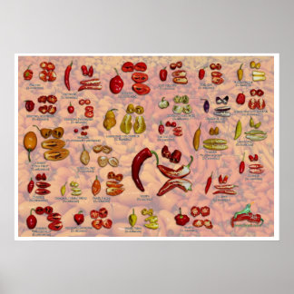 Póster Fatalii's Split Chile Peppers!