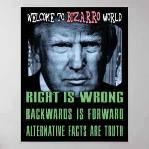 Póster Fatos Alternativos São Verdade - Anti Presidente T