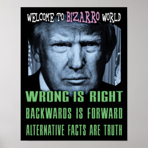 Póster Fatos Alternativos São Verdade - Anti Presidente T